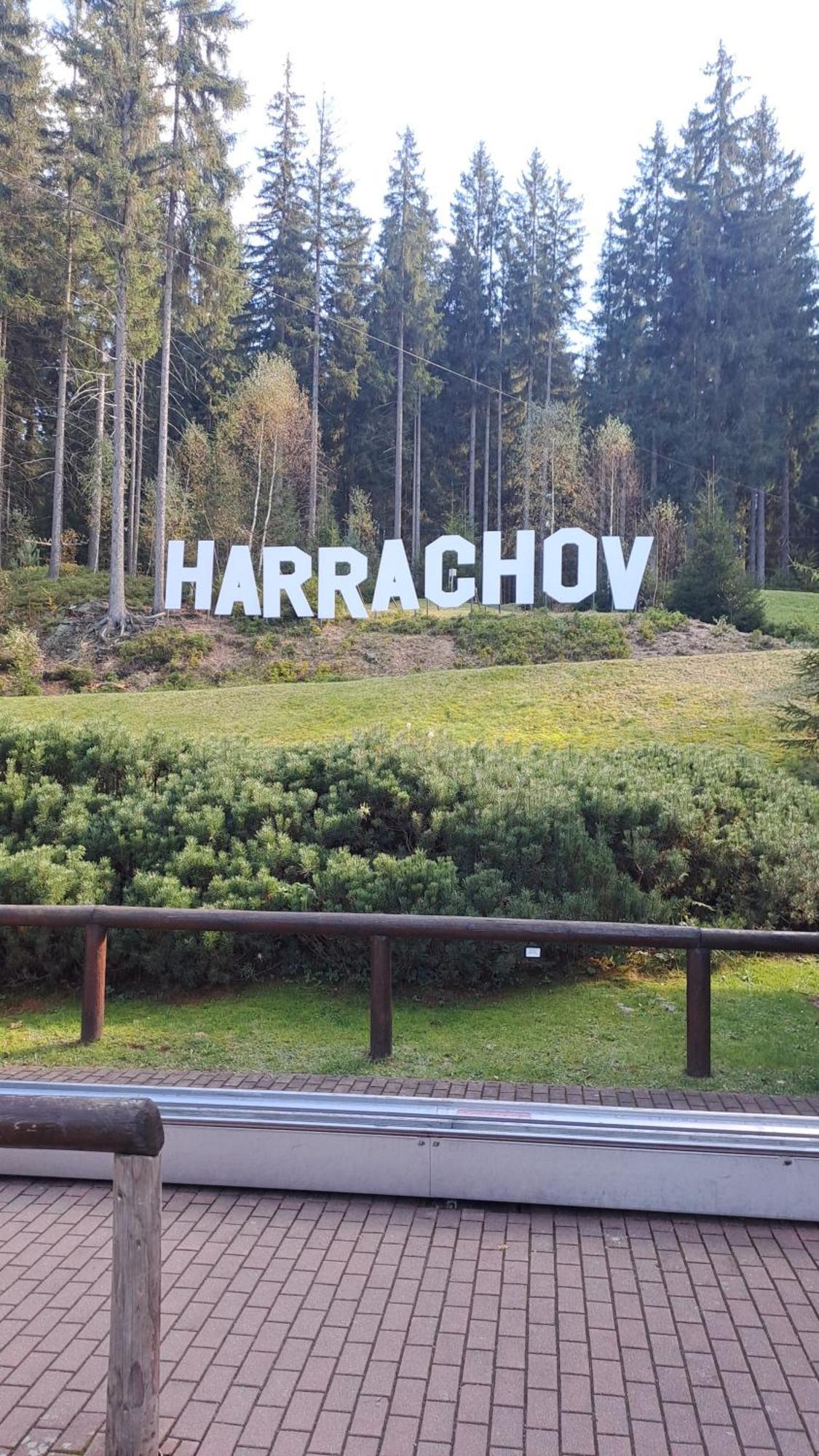 - Resident * Harrachov
